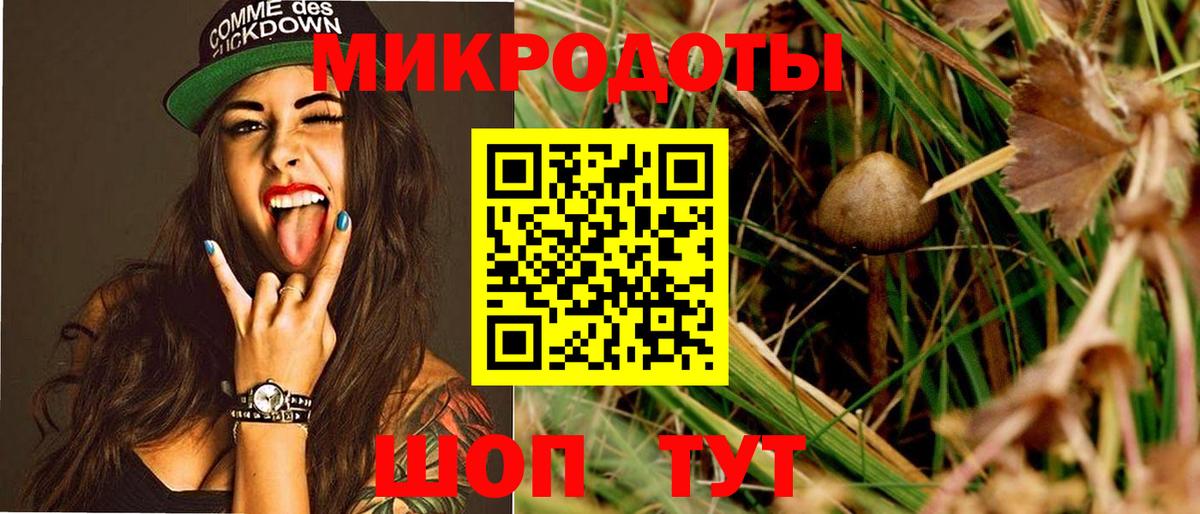 Галлюциногенные грибы Psilocybe  Галлюциногенные грибы ЛСД  Кубинка  закладки  Вход с VPN 